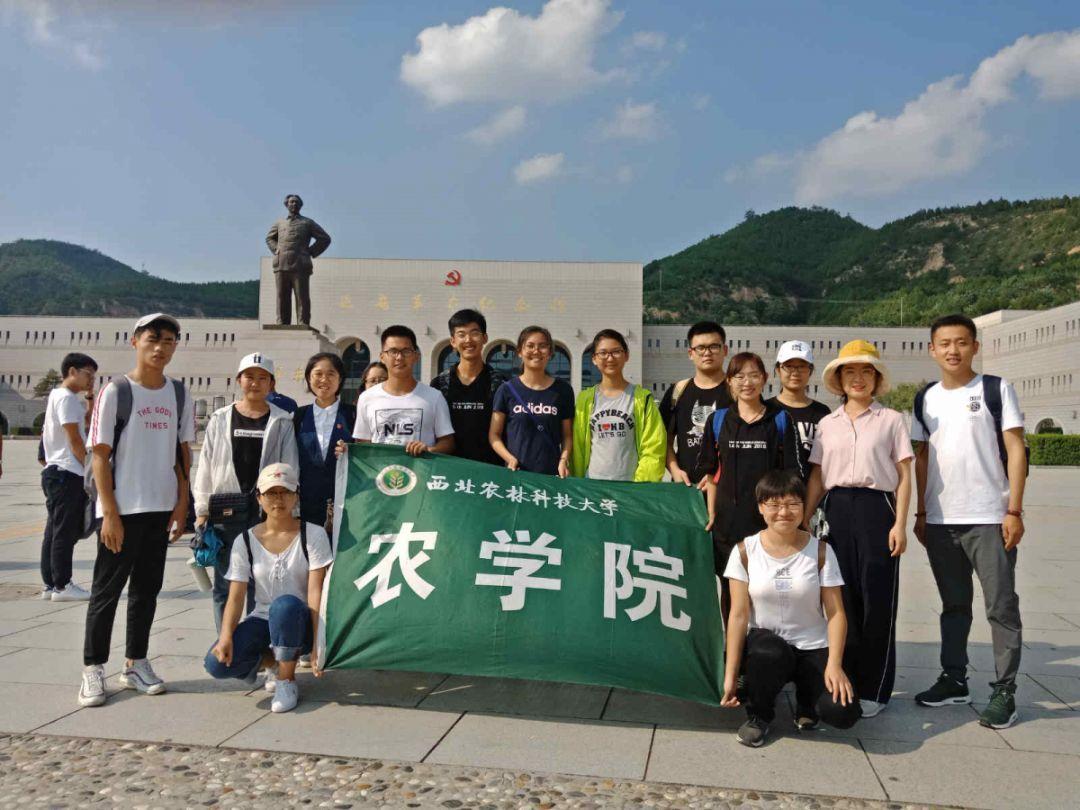 31省最低工资标准公布，仅有少部分地区最低工资不包含五险一金